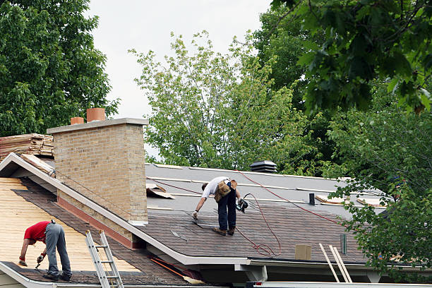 Roof Gutter Cleaning in Roebuck, SC