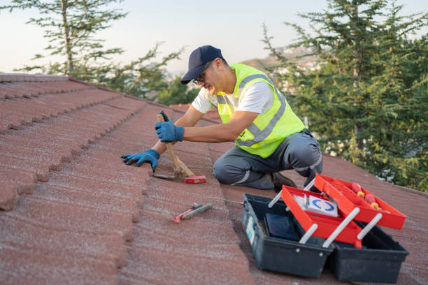 Best Roof Gutter Cleaning  in Roebuck, SC