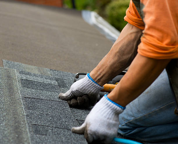 Best Roof Gutter Cleaning  in Roebuck, SC
